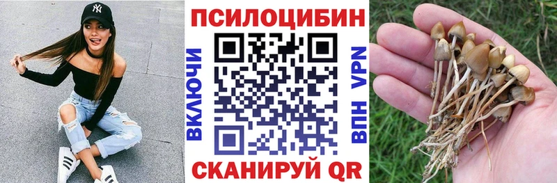 Псилоцибиновые грибы MAGIC MUSHROOMS  Пушкино 