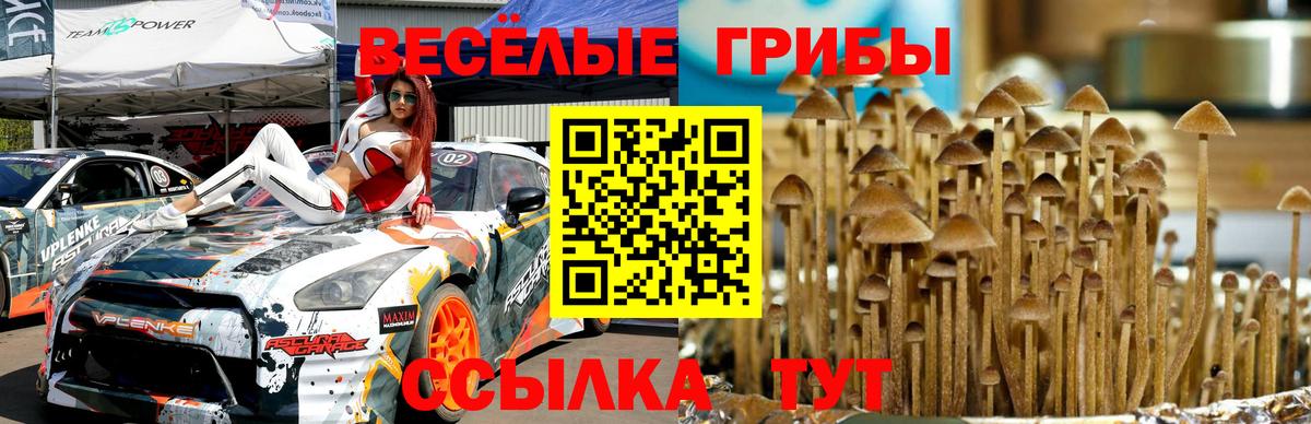 Пушкино  Псилоцибиновые грибы GOLDEN TEACHER  Вход с VPN 