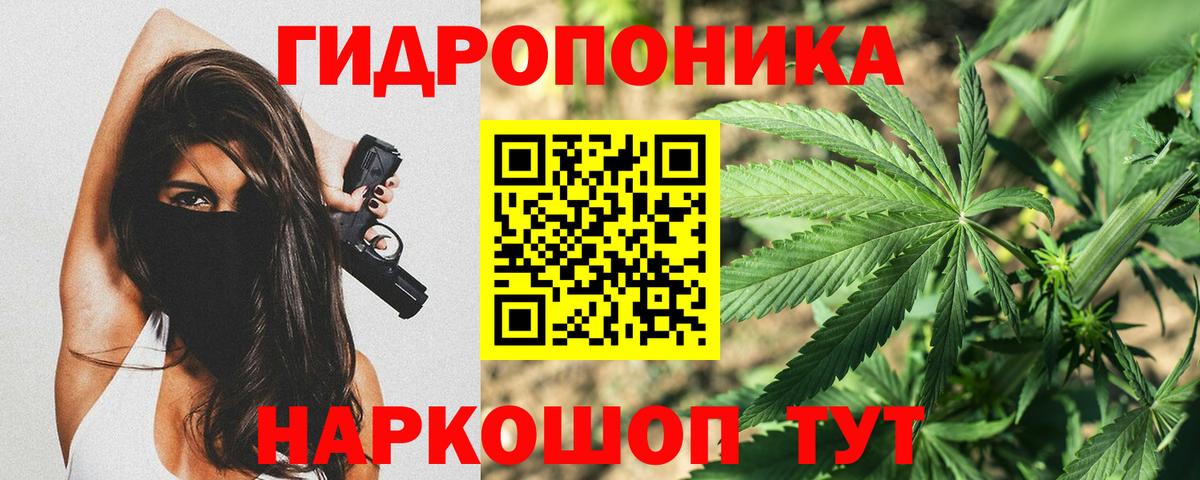 Бошки марихуана VHQ  Вход с VPN  Пушкино  Канабис THC 21%  Канабис гибрид 